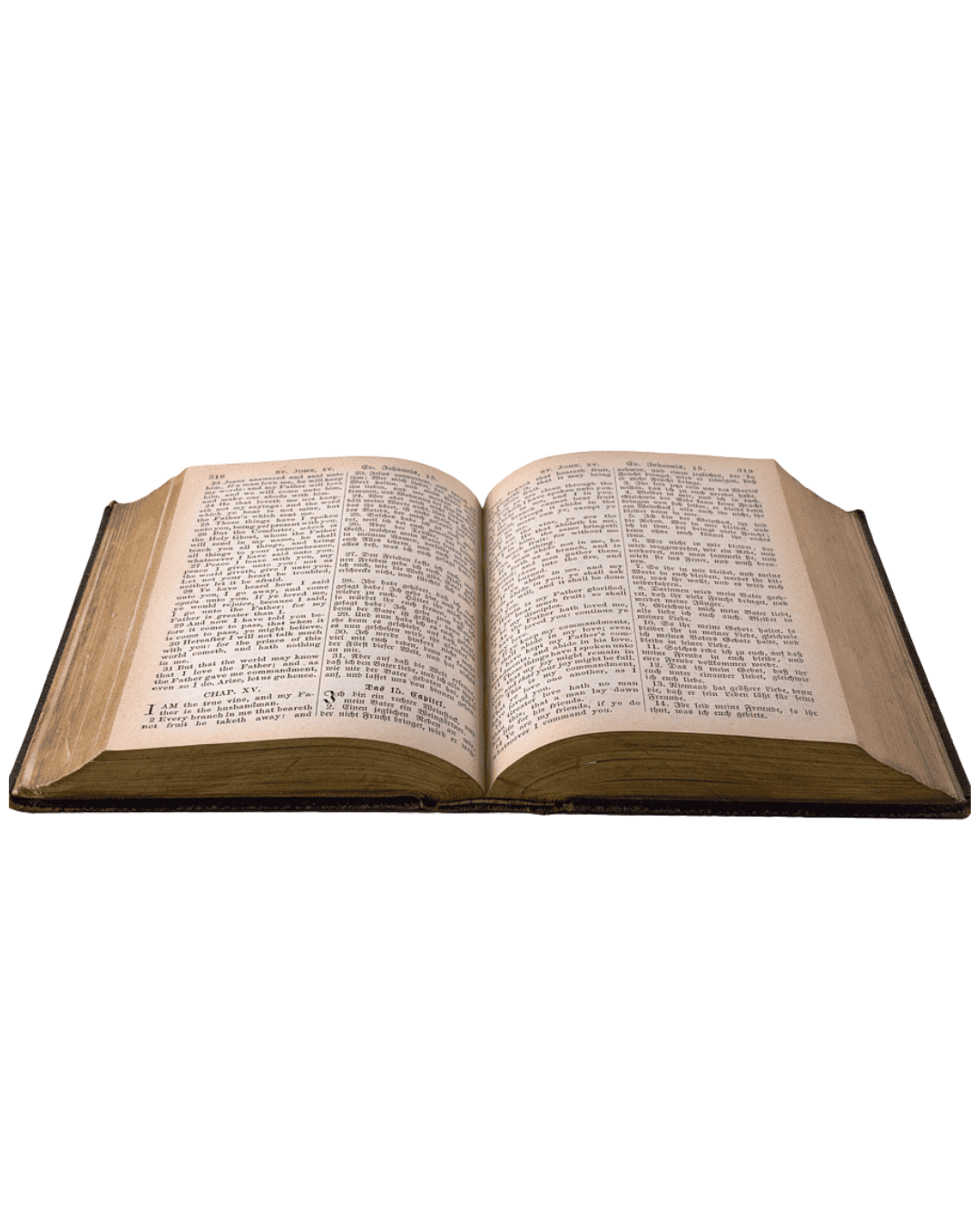 Biblia Abierta